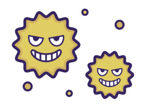 洗濯槽のカビや菌が気になる